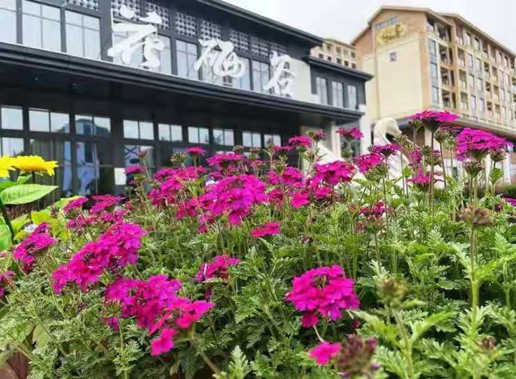 百度热搜恩施花硒谷康养小镇建始花硒谷为何备受关注
