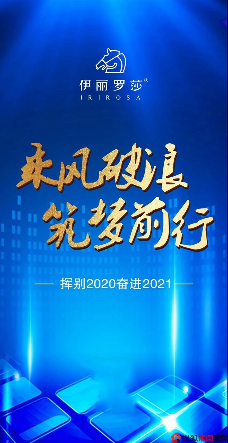 【伊丽罗莎】挥别2020奋进2021,乘风破浪筑梦前行