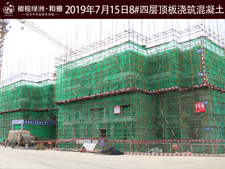 衡水橄榄绿洲和雅一口价房源来袭开启夏日狂欢