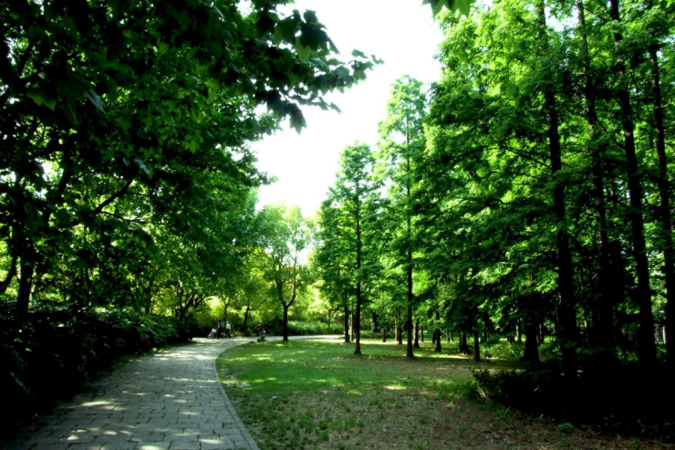 胜芳镇两个市区,有霸州市生态公园,牤牛河历史文化公园,胜芳湿地公园