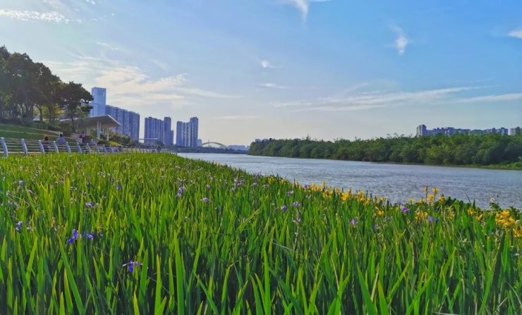 佛山新城滨江湿地公园景观