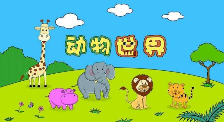 汇君城&西北汇商街大事件 真的 动物聚会
