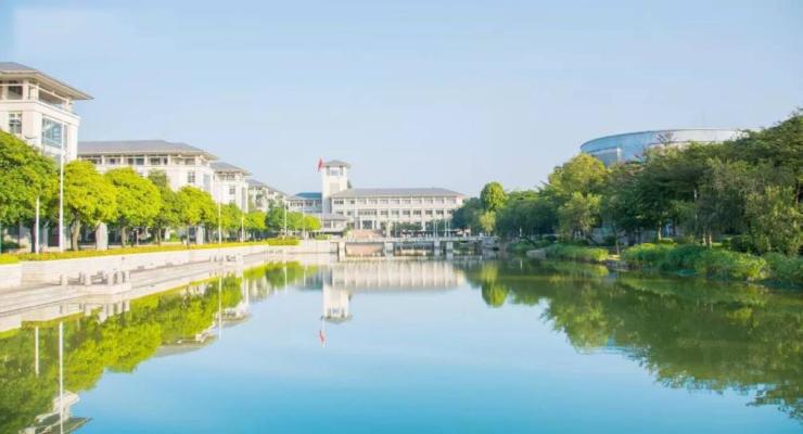 吉之岛,新一城,黄金广场,大良实验小学,顺峰小学,玉成小学,顺峰初中