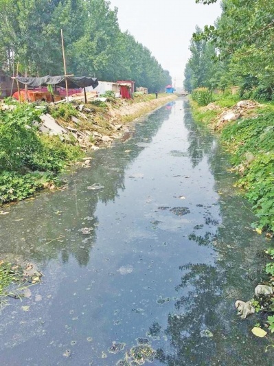贾鲁河沿岸污水肆意排问渠怎能清如许