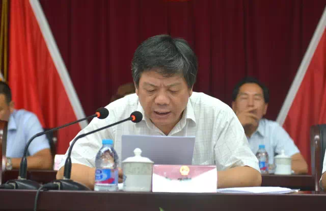 镇党委书记沈建军在大会上做重要讲话
