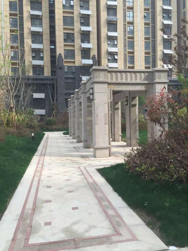 遇见 最美公园园林 骏景中央公园
