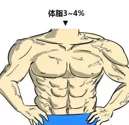 人鱼线vs马甲线?到底体脂率多低才能拥有!