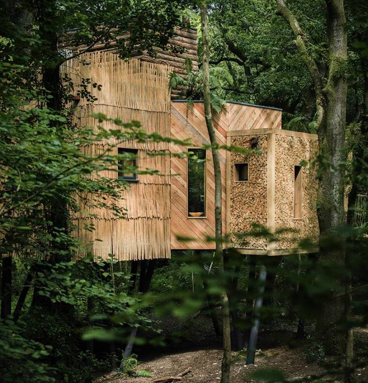 这10间树屋承包了最美的林间小筑