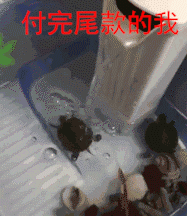 看着购物车里, 那些待结算的尾款 不禁开始怀疑人生 尾款大概有( )