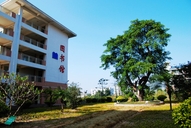 南海信息技术学校_狮山南海信息技术学校