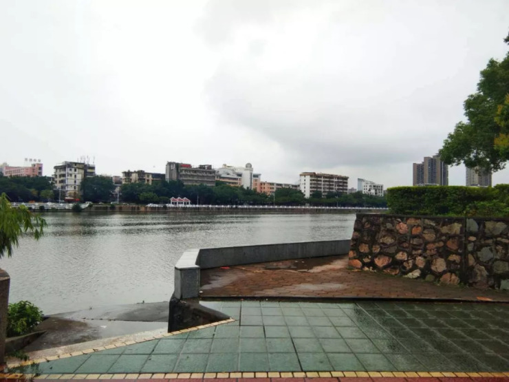 雨中的滨江公园别有一番滋味在心头
