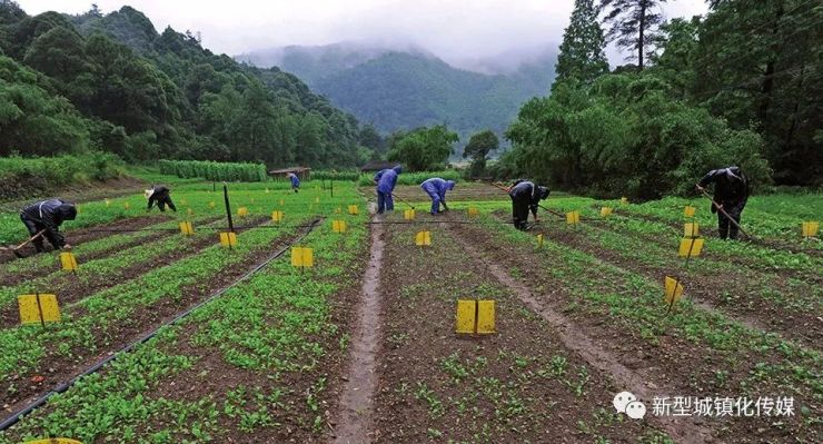 转移人口"村民化"包括农业转移人口向其他农村移居生活和城镇人口移居