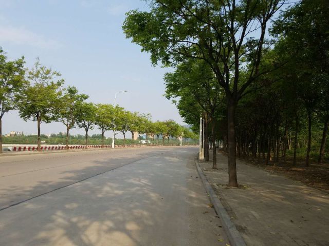 琵琶山区域——信阳楼市的第二阵营