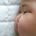 焦点家居网友