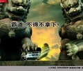水木金戈