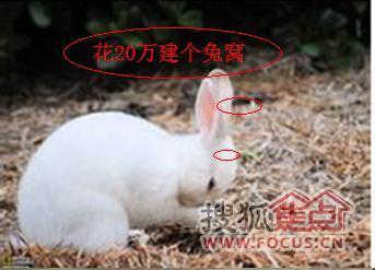2caa6977b815fef98091721bfc7cee7a.jpg