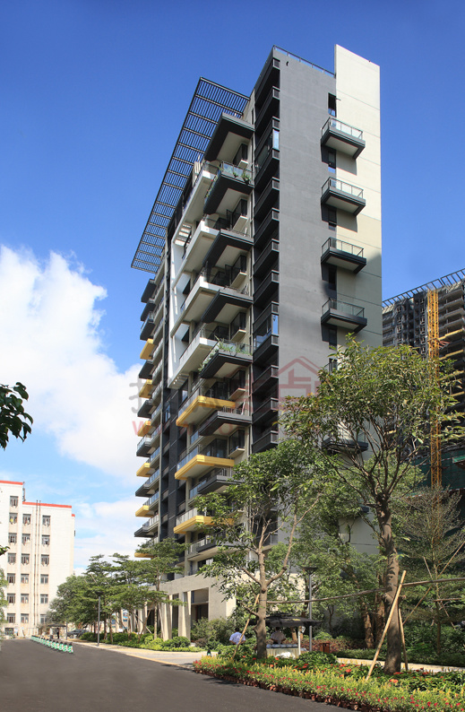 香山里外景照片,风景这边独好-深圳搜狐焦点