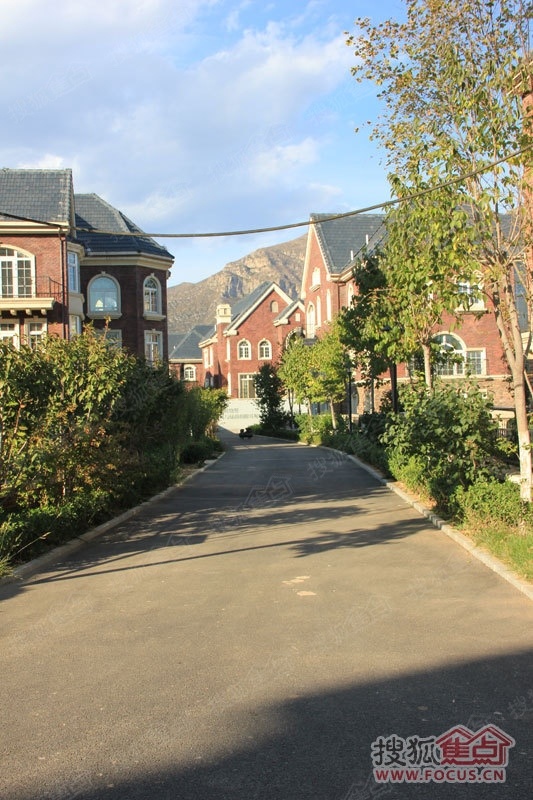 世茂一渡青青小镇开盘了自驾看房送加油卡