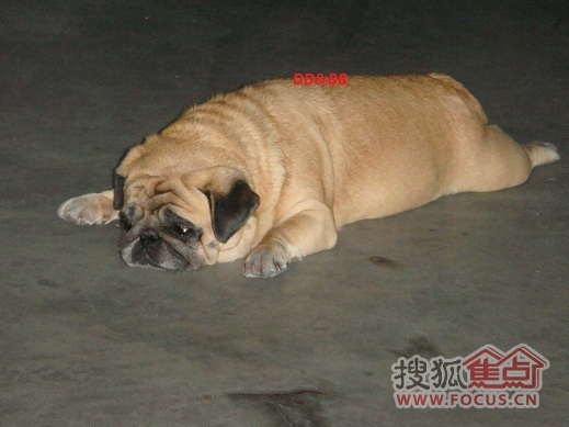 8588d72fc0ca47b9afe011cbcd777eec.jpg