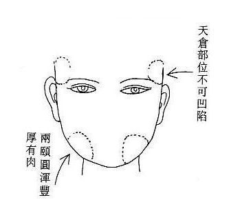 b12ca05ee8971adce55c6761e4320a44.jpg