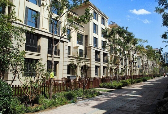 时光荏苒世茂维拉让浪漫回归