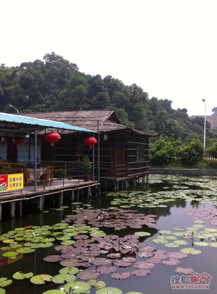图中山农庄吃了顿鸭嘴鱼
