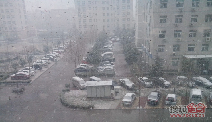 明天早起一片白 郑州终于下雪了. 据天气预报,这
