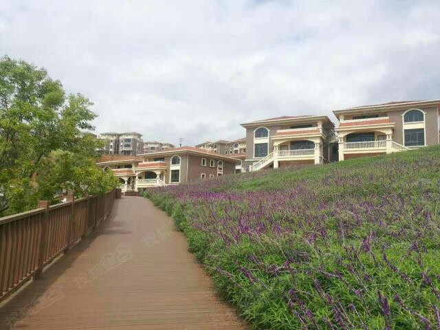 昆明阳宗海山水湖畔别墅在哪里