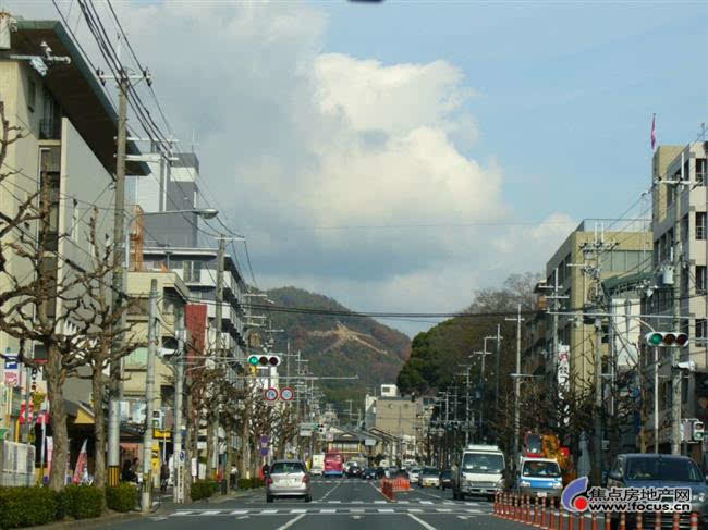 同事4月初去日本看樱花,让她捎什么好呢,资生