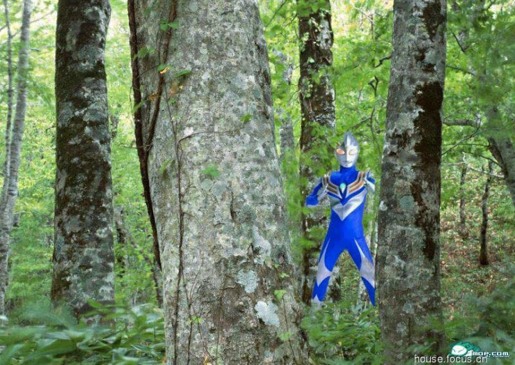 图片惊爆广东一农民拍到野生奥特曼