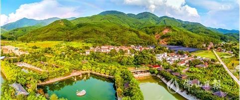 大力发展乡村旅游的新安村环境美如画./佛山日报记者吕润致摄