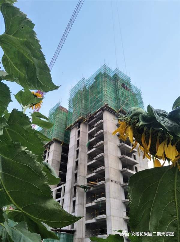 荣域·天鹅堡工程播报 | 匠心精筑,预见"五好"未来!-濮阳搜狐焦点
