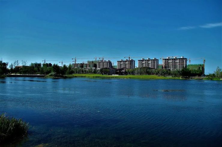 郑北孔雀城送温暖邀业主参加贺岁喜剧天气预爆路演