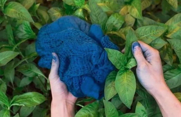 新松玺樾府-草木染非遗美学馆 几近失传的工艺草木染惊现哈尔滨