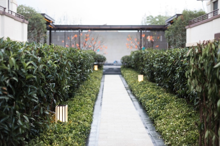 院墅雅集 一鉴倾心| 世茂泉溪江实景示范区风雅