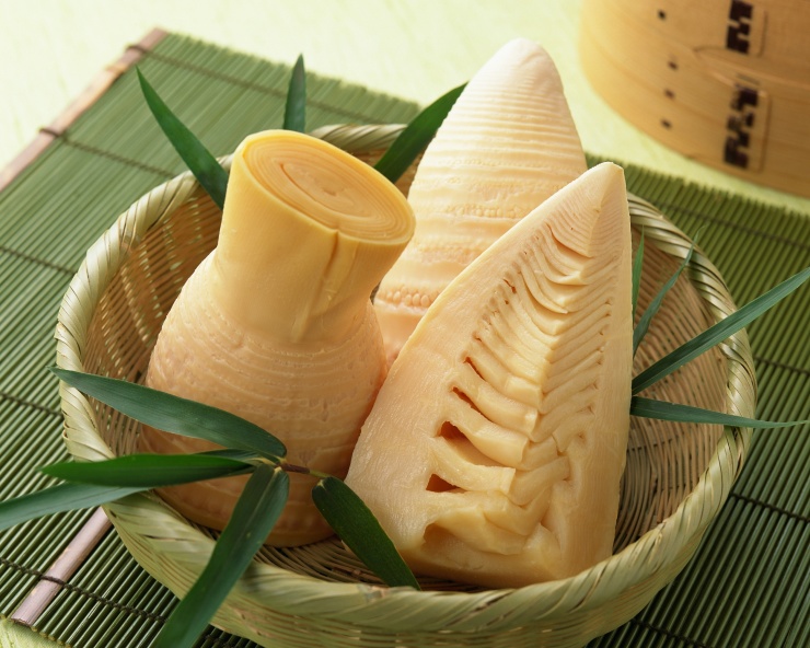 寻味滨江探寻佛山张槎东平河沙口笋保护带