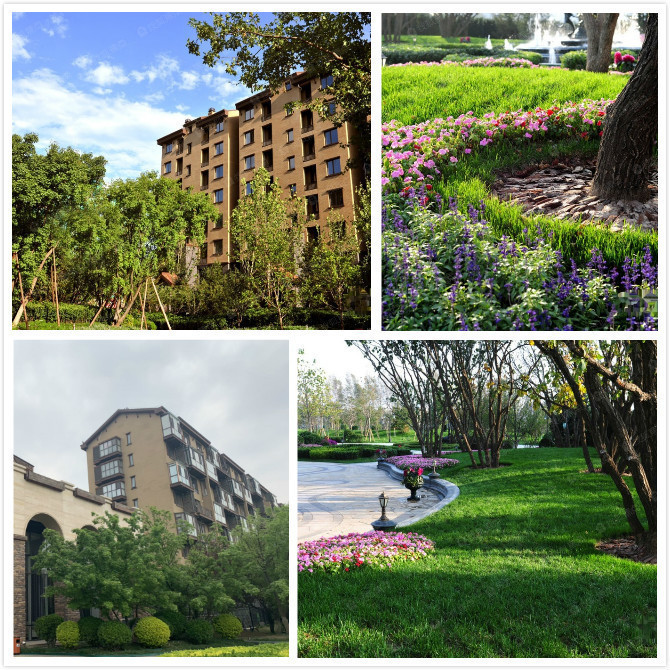 告别老破小!首开缇香郡首付88万住三居洋房