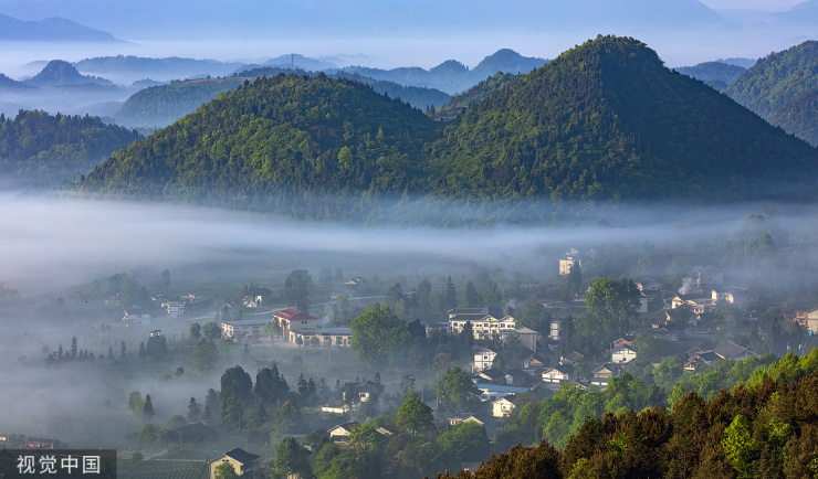 峨眉见山府听山风轻语悦草木花香