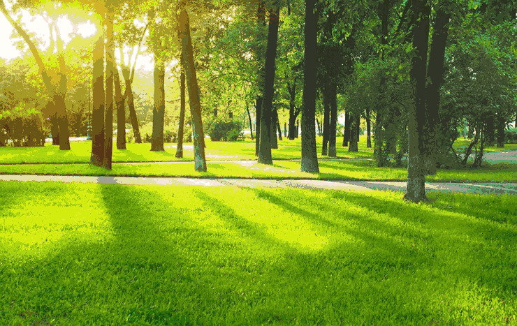 740_467gif 动态图 动图