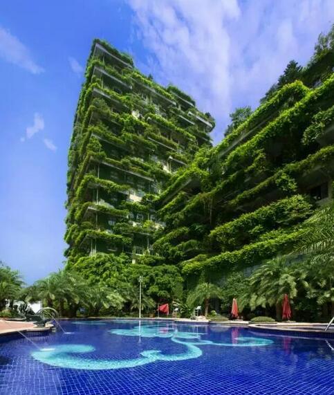 碧桂园上半年销售2889亿 同比增长131%-广州搜狐焦点