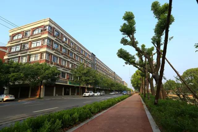 诸暨市店口镇"最美"免费河道主题公园开启