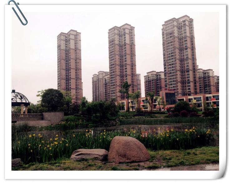 二等奖《雨后的新里城》