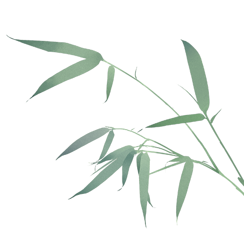 宝山江湾金茂府(江湾金茂府官方网站)优惠价格-户型图-交通-楼盘详情-来电预约看房@官方最新更新2026616(图14)