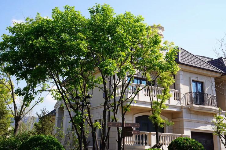 上海宝山建发央玺售楼处电话—位置—24小时热线电话图文解析