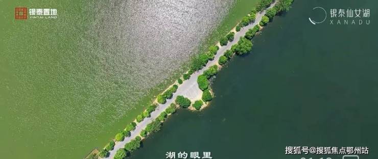 仙女湖简笔画图片