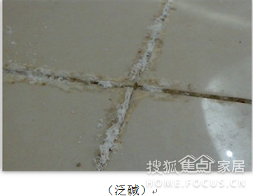 240eae66-92f2-4098-8588-b7df68449275.png