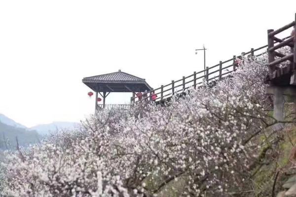 湖州春风满庭售楼处电话——售楼中心——官方网站
