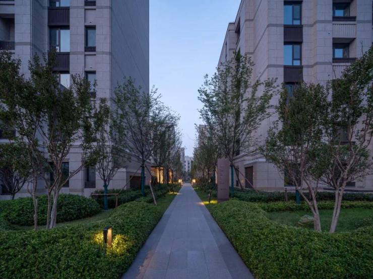 豪森铂悦丨不负期待,美好终成-临沂搜狐焦点