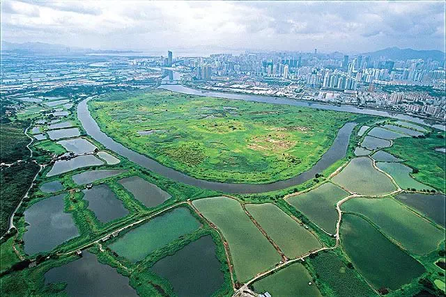 落马洲河套地区要建香港最大科技创新园区香港拨款200亿港元