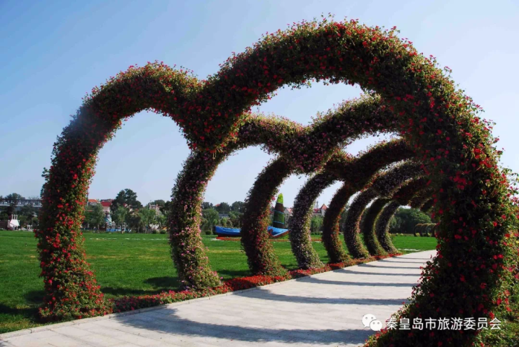 有一個十分美妙的旅程~鴿子窩公園作為咱們秦皇島的一個老牌知名景區